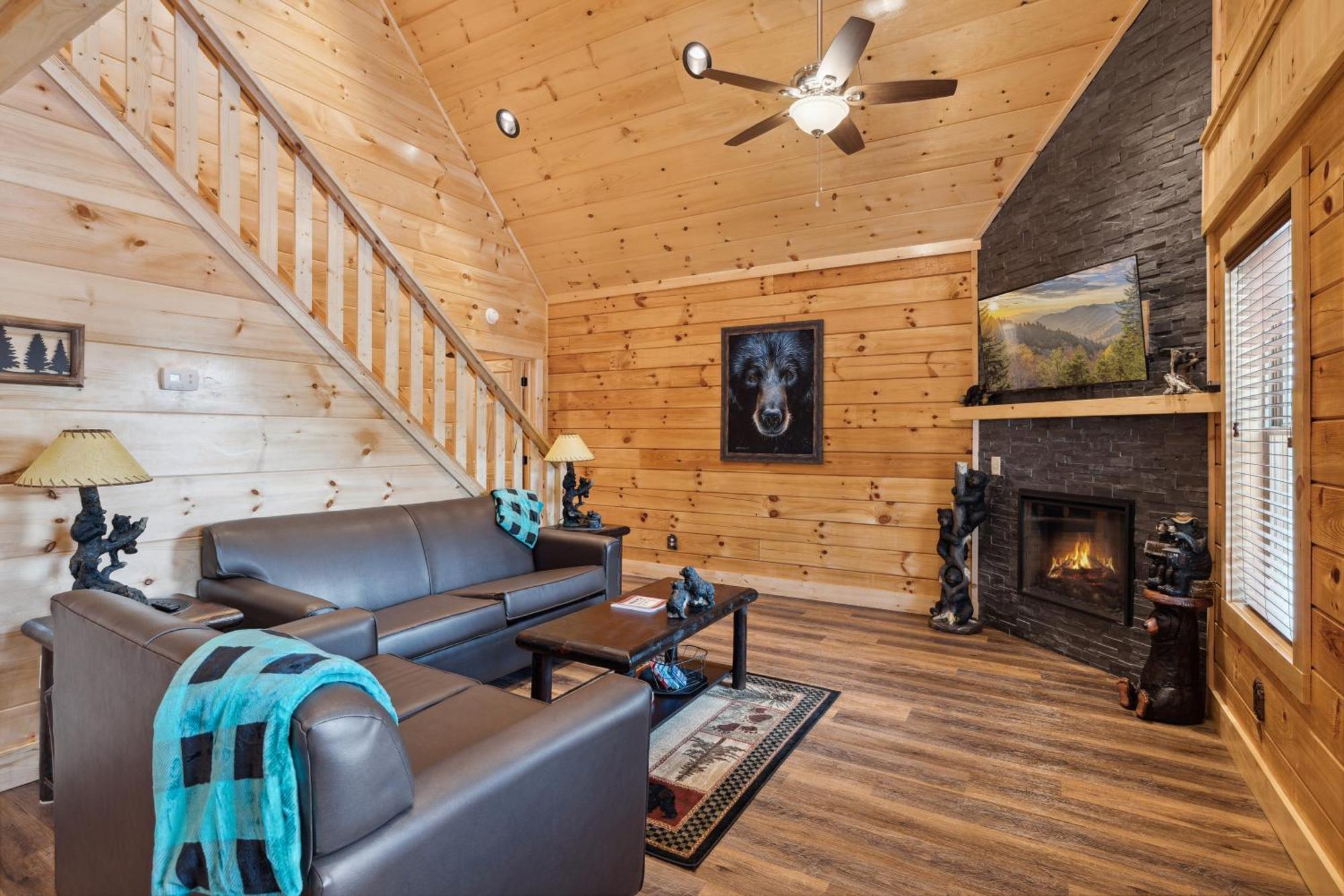 פיג'ן פורג' The 3 Bears Is A Newly Built 3 Bedroom Cabin Only 3 Minutes From The Parkway! מראה חיצוני תמונה